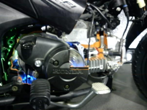 216829_4162505273044_741294696_n