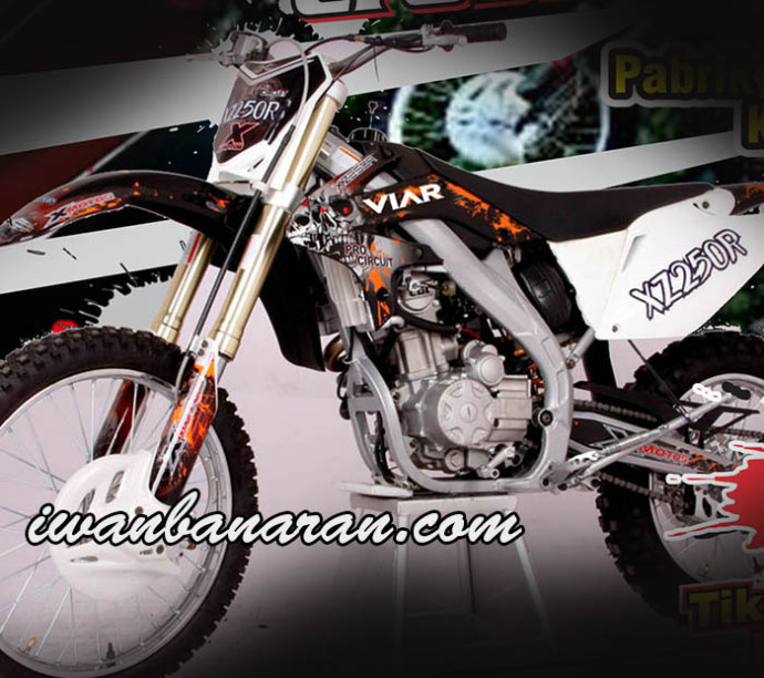 Mesin Viar Cross X250