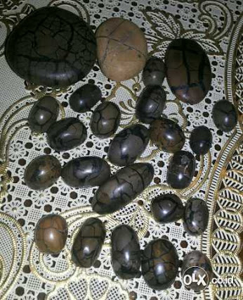 yHCoen3dm59PEqF7wUpBQx2qNigbCa8r2R0tyRbinWcpEZf5weq8CJfJLgzhNijo34ZR77nSs0Mxl_lWuVD7XxapOGZOMkoKhP63MKG4uV0=w346-h426-nc.jpg batu sisik naga