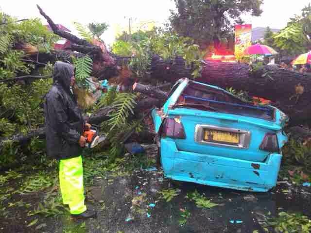 IMG-20160126-WA0003.jpg image