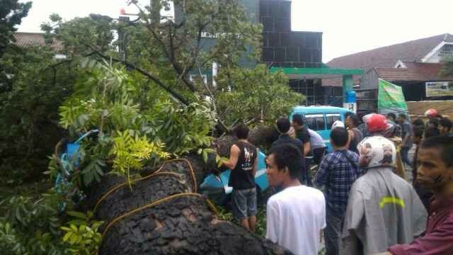 IMG-20160126-WA0004.jpg image