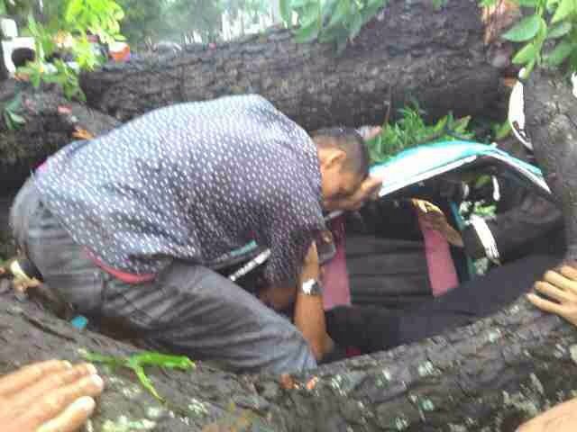 IMG-20160126-WA0006.jpg image