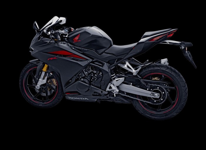 cbr250rr5
