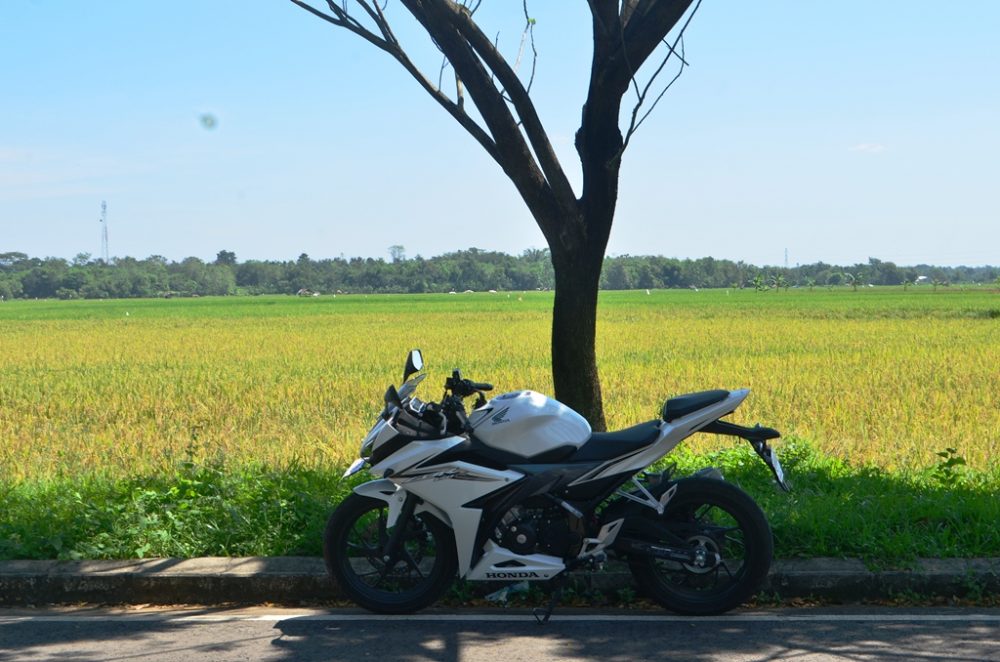 ????????????????????????????????????