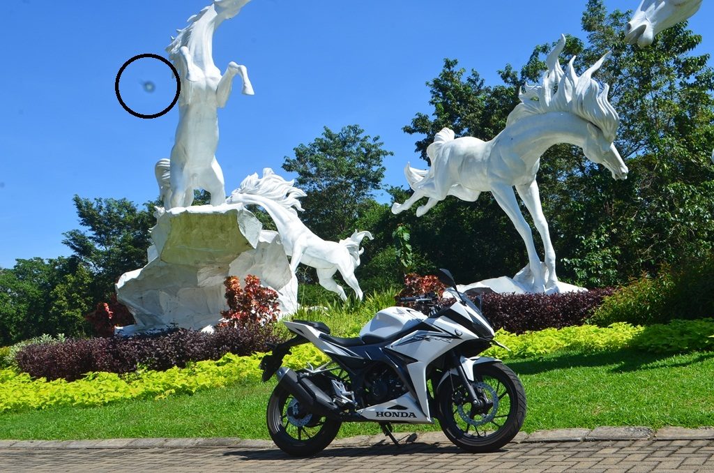 membersihkan sensor kamera dslr