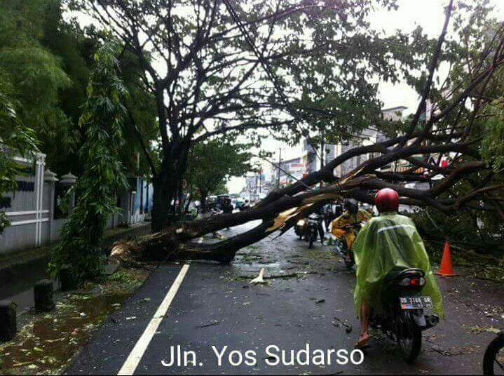 FB_IMG_1486245787961.jpg image