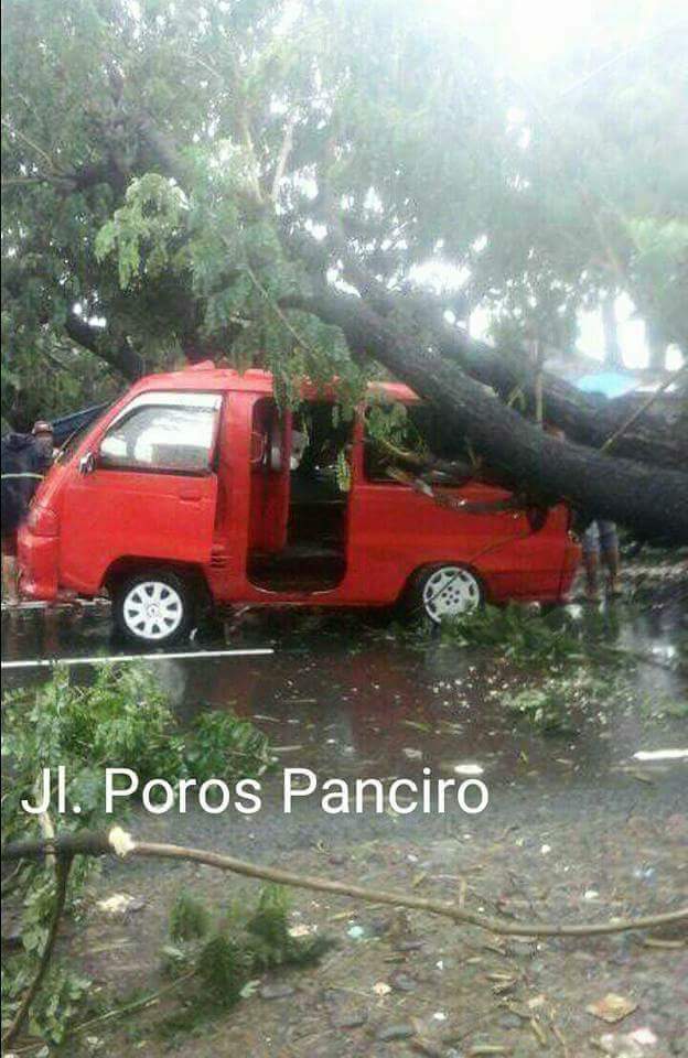 FB_IMG_1486245792794.jpg image