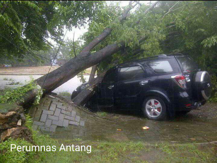 FB_IMG_1486245800290.jpg image