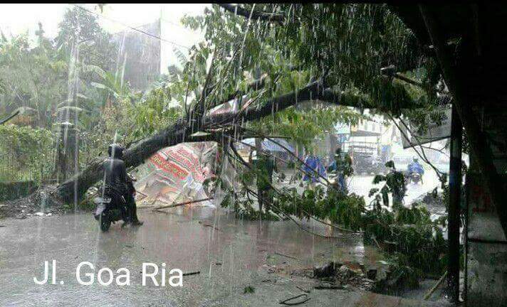 FB_IMG_1486245802933.jpg image