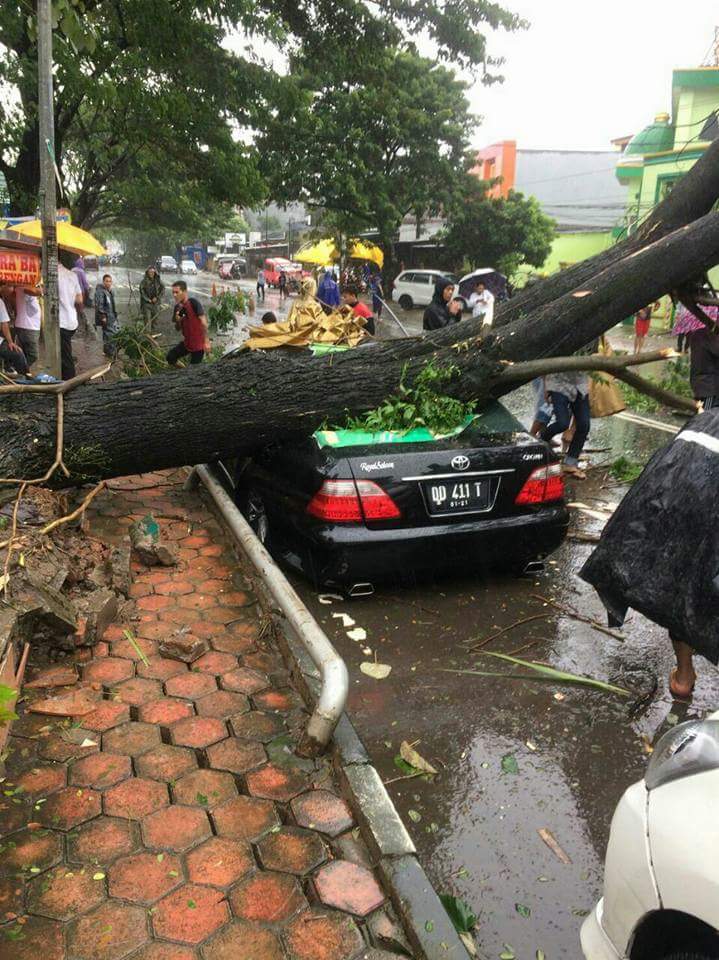 FB_IMG_1486245805668.jpg image