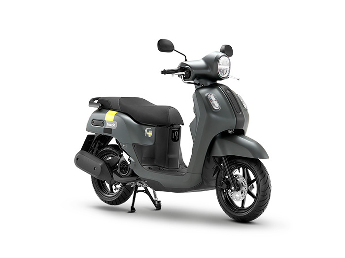 warna fazzio thailand